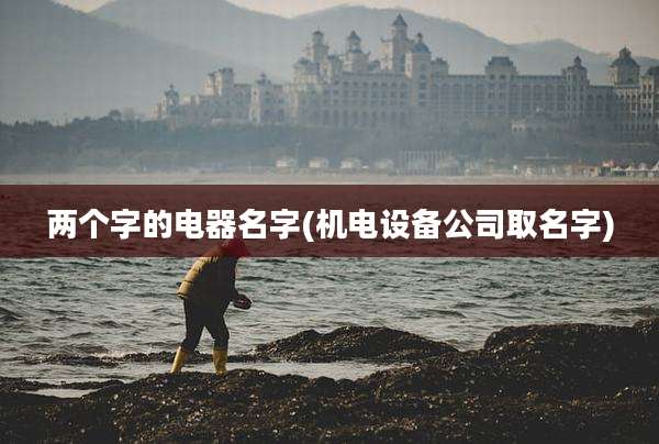两个字的电器名字(机电设备公司取名字)