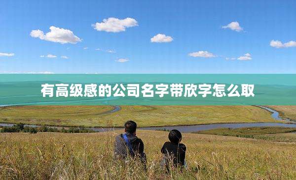 有高级感的公司名字带欣字怎么取