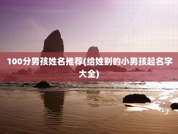100分男孩姓名推荐(给姓别的小男孩起名字大全)