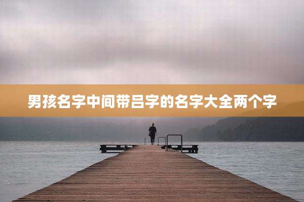 男孩名字中间带吕字的名字大全两个字