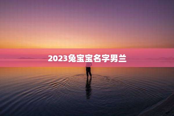 2023兔宝宝名字男兰