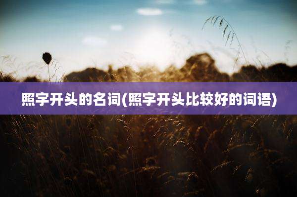 照字开头的名词(照字开头比较好的词语)