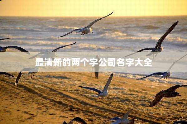 最清新的两个字公司名字大全