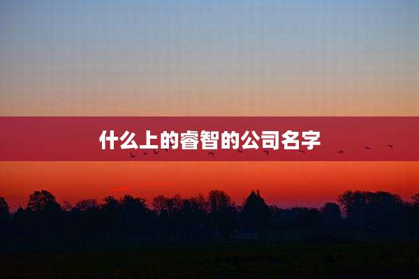 什么上的睿智的公司名字