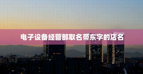电子设备经营部取名带东字的店名