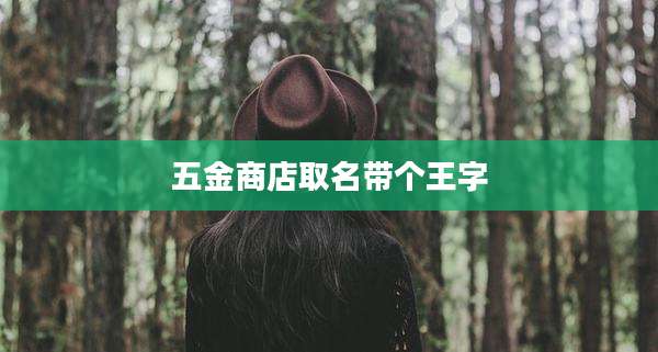 五金商店取名带个王字
