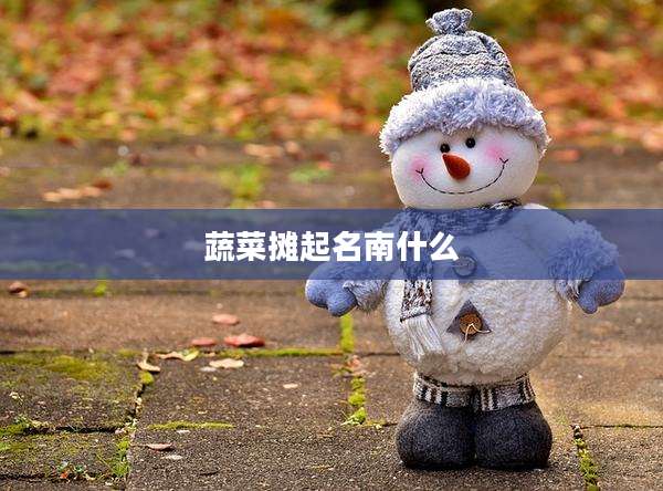 蔬菜摊起名南什么