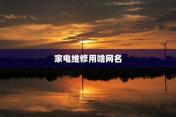 家电维修用啥网名