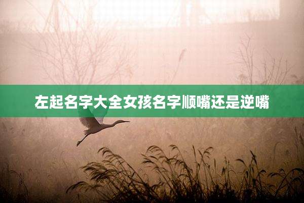 左起名字大全女孩名字顺嘴还是逆嘴