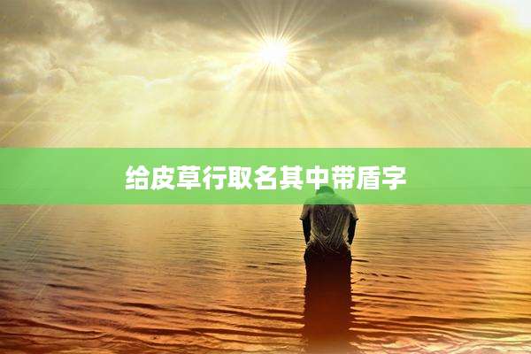 给皮草行取名其中带盾字