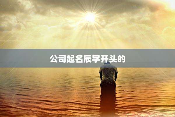 公司起名辰字开头的