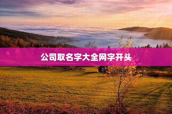 公司取名字大全网字开头