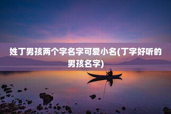 姓丁男孩两个字名字可爱小名(丁字好听的男孩名字)