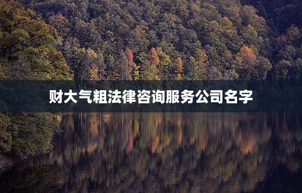 财大气粗法律咨询服务公司名字
