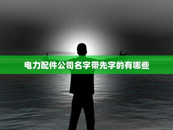 电力配件公司名字带先字的有哪些