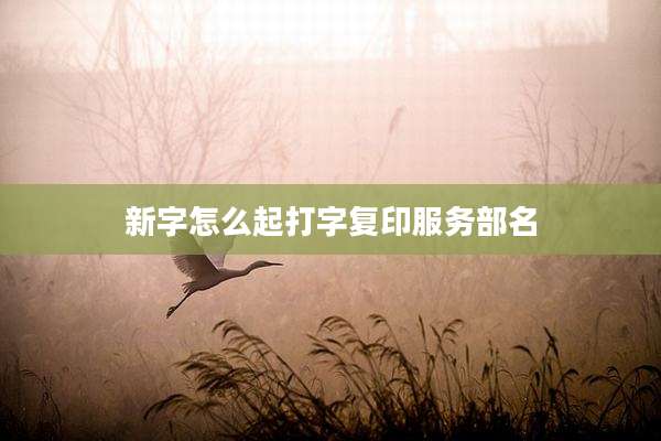 新字怎么起打字复印服务部名