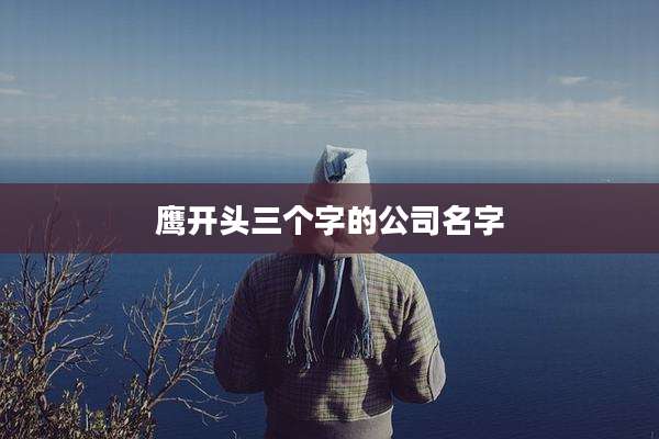 鹰开头三个字的公司名字