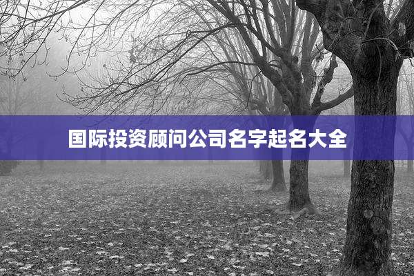 国际投资顾问公司名字起名大全