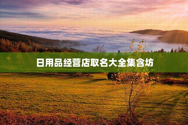 日用品经营店取名大全集含坊