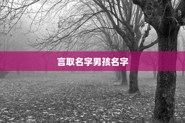 言取名字男孩名字