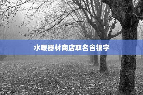 水暖器材商店取名含银字