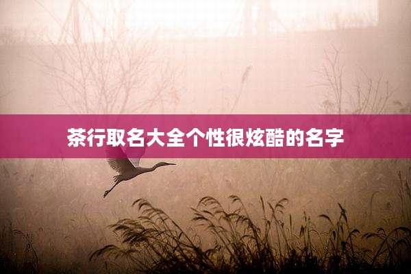 茶行取名大全个性很炫酷的名字