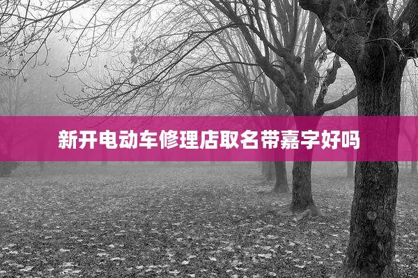 新开电动车修理店取名带嘉字好吗