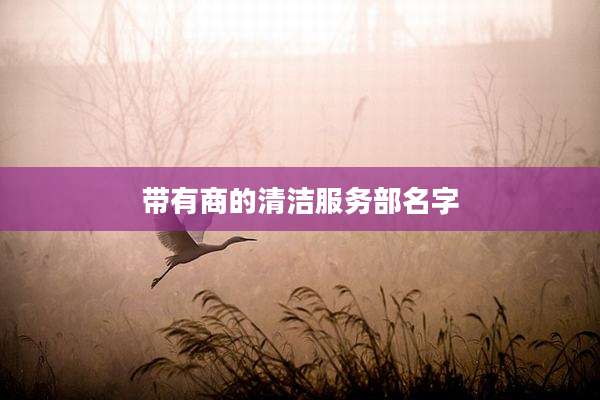 带有商的清洁服务部名字