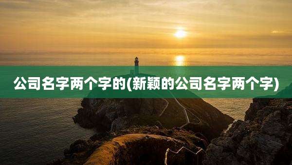 公司名字两个字的(新颖的公司名字两个字)