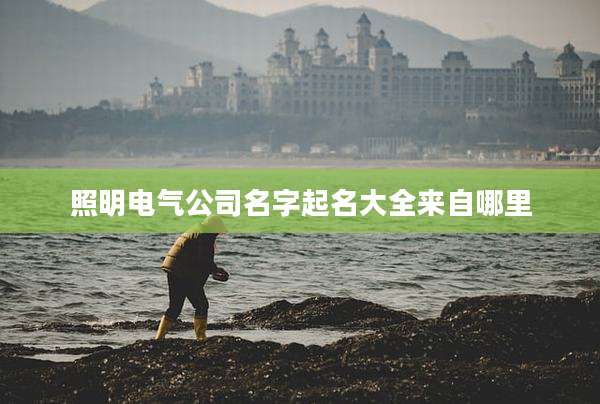 照明电气公司名字起名大全来自哪里
