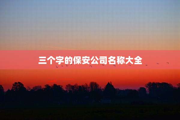 三个字的保安公司名称大全