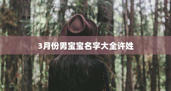 3月份男宝宝名字大全许姓