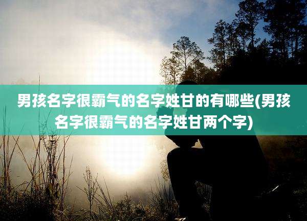 男孩名字很霸气的名字姓甘的有哪些(男孩名字很霸气的名字姓甘两个字)