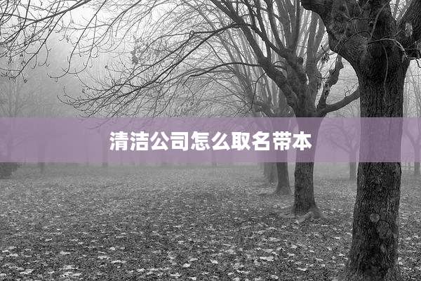 清洁公司怎么取名带本