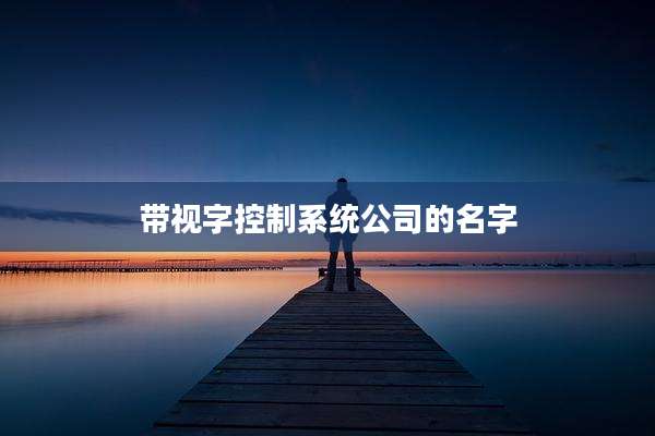 带视字控制系统公司的名字