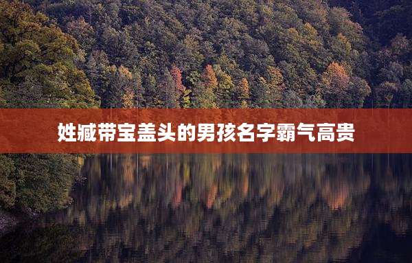 姓臧带宝盖头的男孩名字霸气高贵