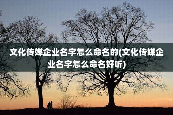 文化传媒企业名字怎么命名的(文化传媒企业名字怎么命名好听)