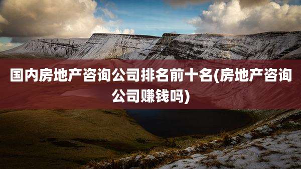 国内房地产咨询公司排名前十名(房地产咨询公司赚钱吗)