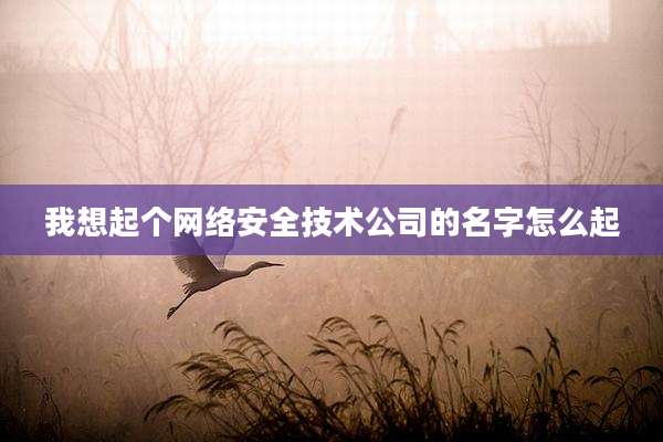我想起个网络安全技术公司的名字怎么起