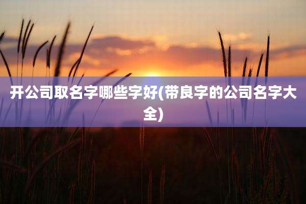 开公司取名字哪些字好(带良字的公司名字大全)