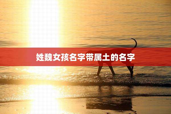 姓魏女孩名字带属土的名字