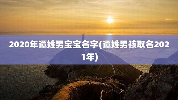 2020年谭姓男宝宝名字(谭姓男孩取名2021年)