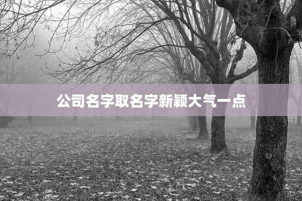 公司名字取名字新颖大气一点