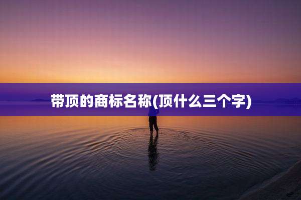 带顶的商标名称(顶什么三个字)