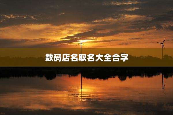 数码店名取名大全合字