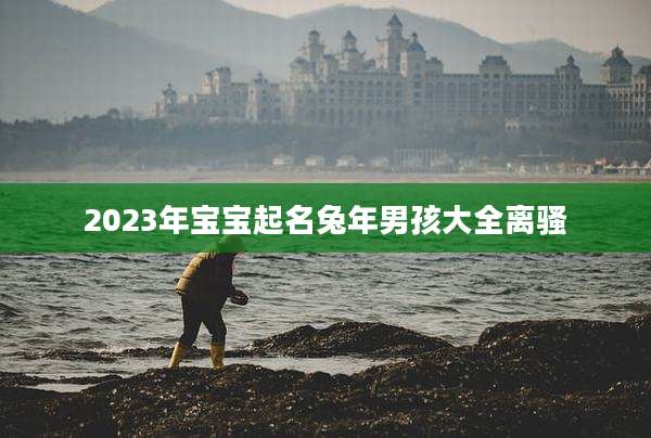 2023年宝宝起名兔年男孩大全离骚