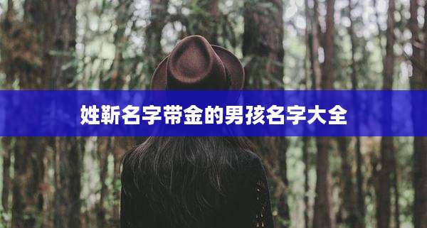 姓靳名字带金的男孩名字大全