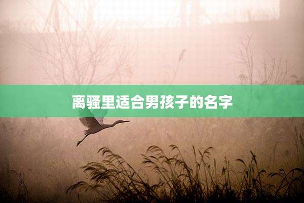 离骚里适合男孩子的名字