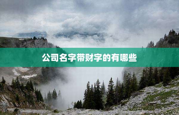 公司名字带财字的有哪些