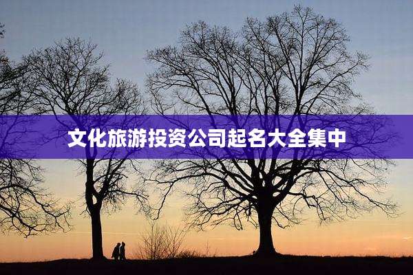 文化旅游投资公司起名大全集中